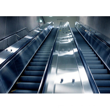 Dsk Public Transport Heavy Duty Escalators